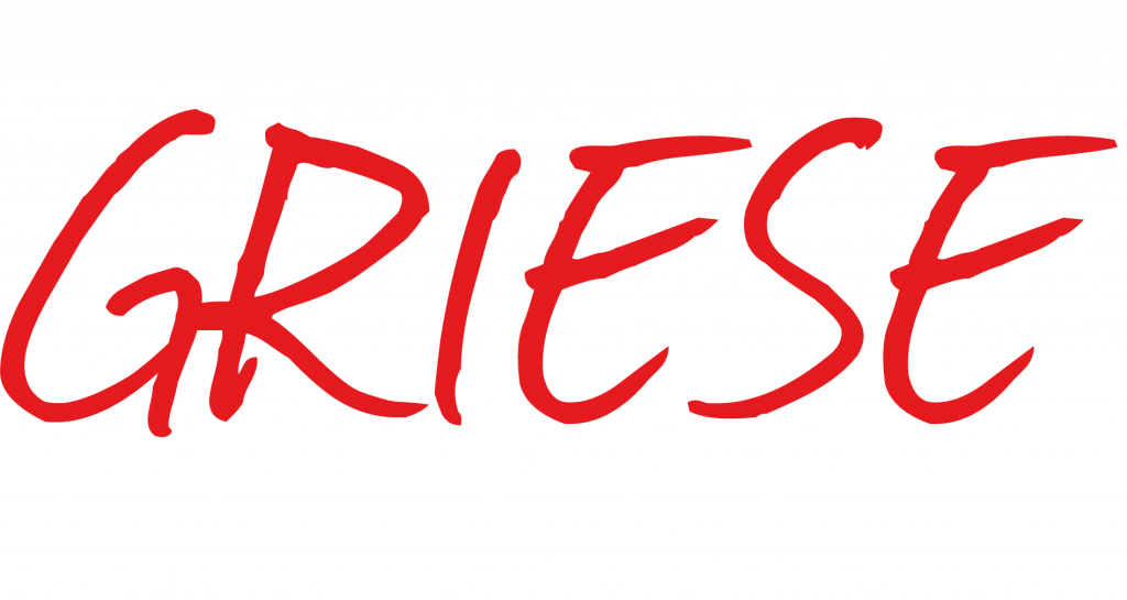 Fahrschule Griese Logo
